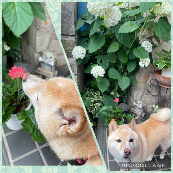 Dd038e27 feb6 4f91 b6ed aeac300d51d3 1686274454388