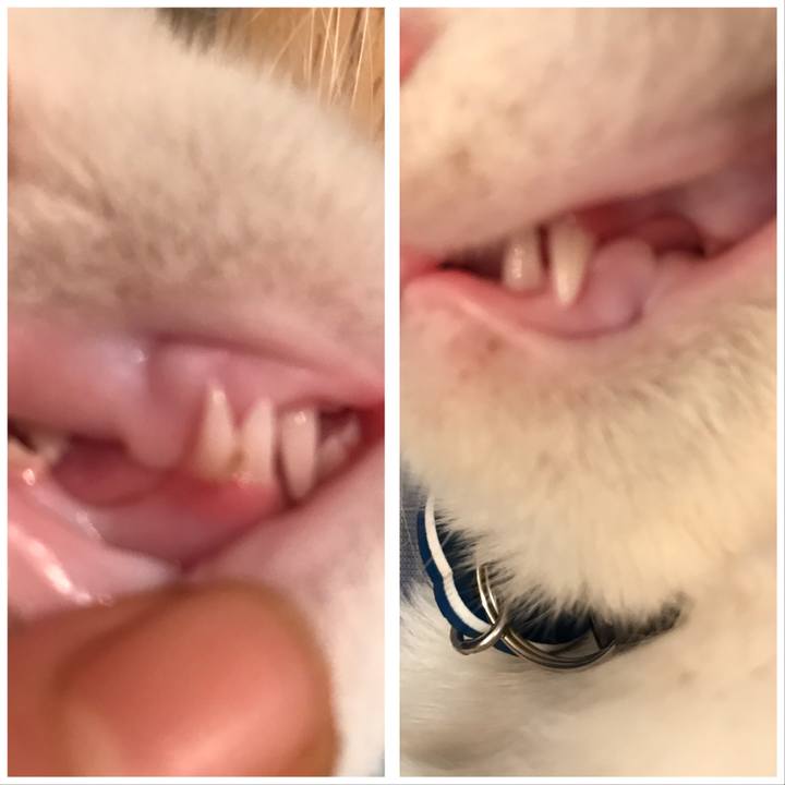 Dd039f7c 4f14 407c b7e2 2baf396dfaa7 1508941939859