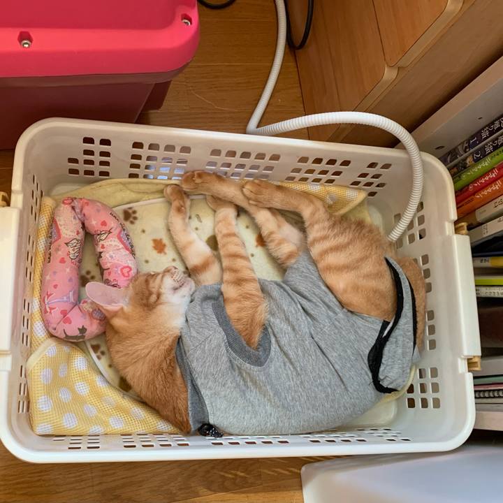 Dd03b395 835c 40d3 bd25 eed1b2aca5c4 1636246631726