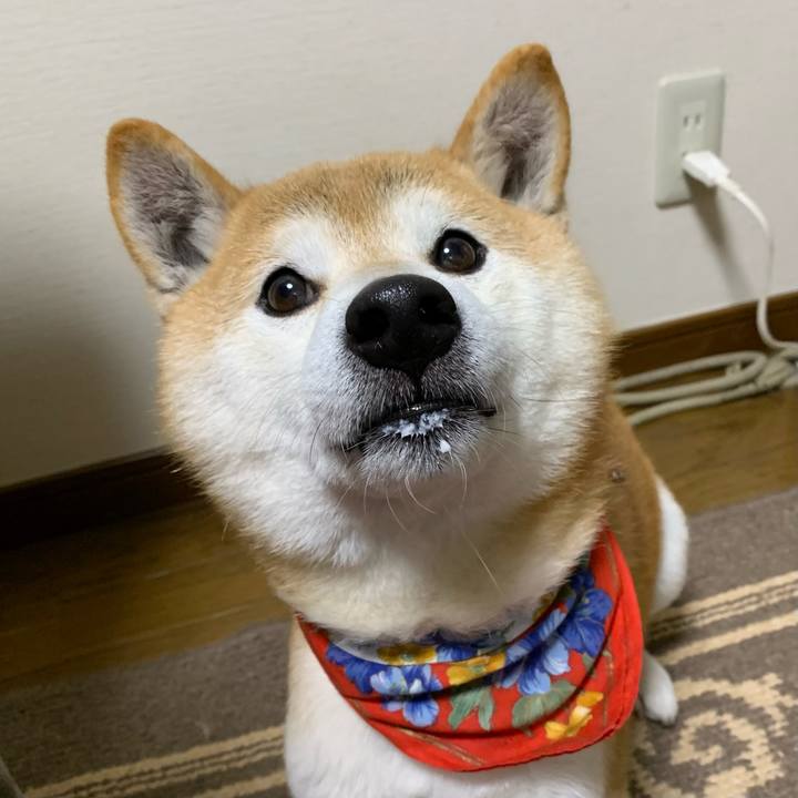 Dd03c1a5 15e3 4c93 9bb8 512a8979204e 1610015267815