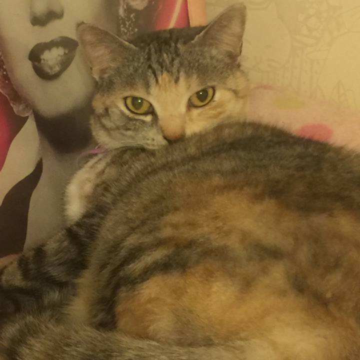 Dd03c90b 7f59 4e97 bbf4 15d078a15e17 1552489759032