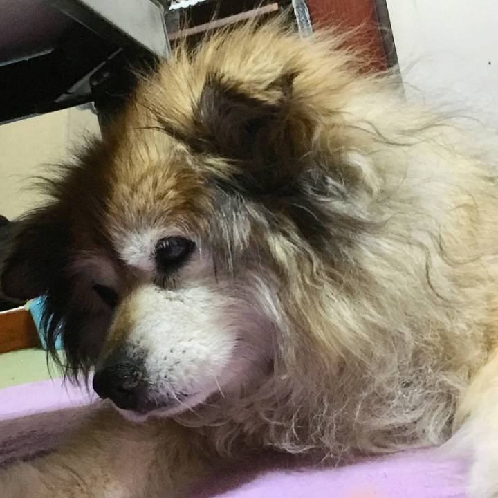 Dd040673 1481 408b 9292 b183b8901111 1589718970495