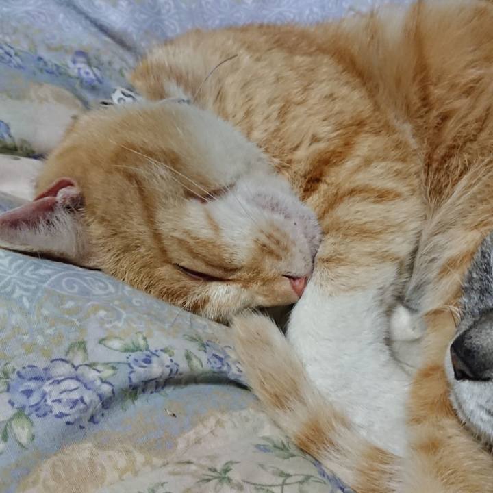 Dd045b68 f6d6 41c0 87bd 0d9d8fab109d 1588941356486