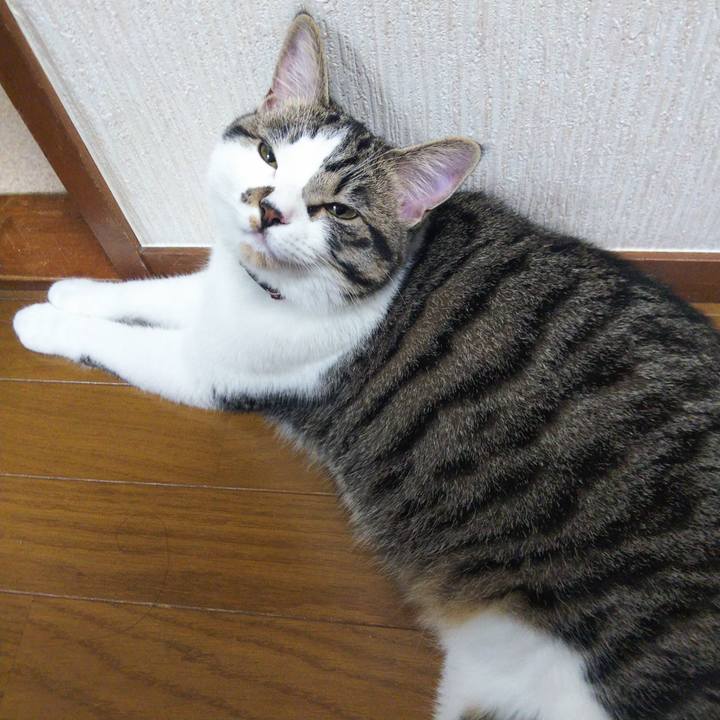 Dd04700b 813a 4165 8cfe a7daa7c43a9b 1623327712434