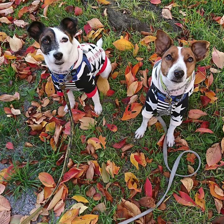 Dd04864c dc71 4c10 8761 75870cf3c1c5 1574309875633