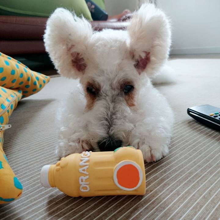 Dd04966c e9f2 490a ba78 7fb8e91dd09b 1536040275455