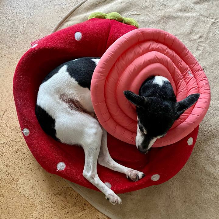 Dd04a756 721e 4b90 a3aa c5715d968ec6 1618611850249