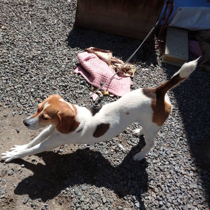 Dd04f9ef 7561 4902 b6f6 0e30b1677419 1586840225287