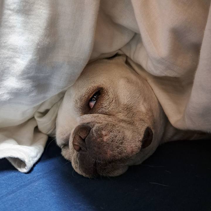 Dd051ad7 345c 4596 a17c 9efccc117f0d 1739402813996