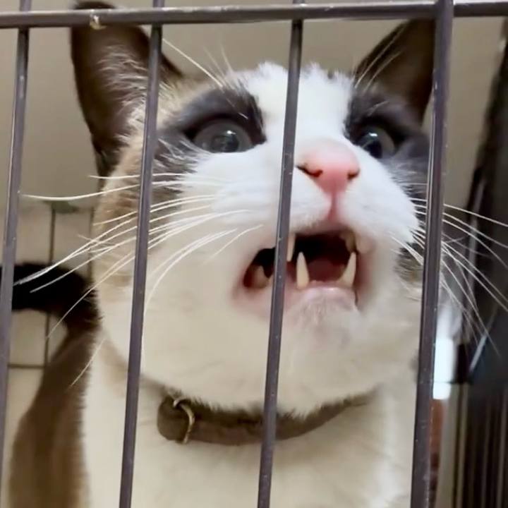 Dd054cf2 bf2b 4faa a1f8 24998f034086 1772282336522