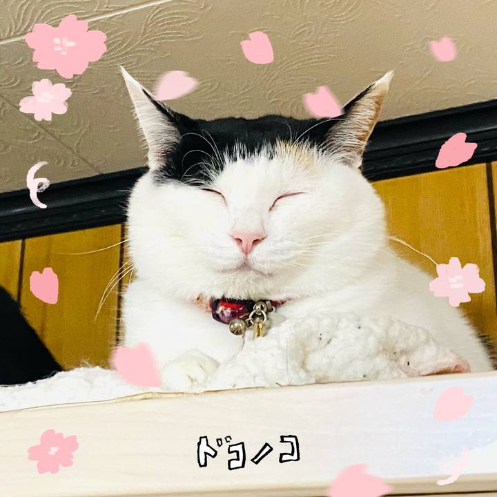 Dd055afe aa19 413a bfcd fc4cd2b3399f 1744379858721