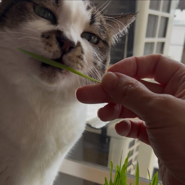 Dd059bab 6a3b 4485 8318 fbc84216fb5d 1761280198717