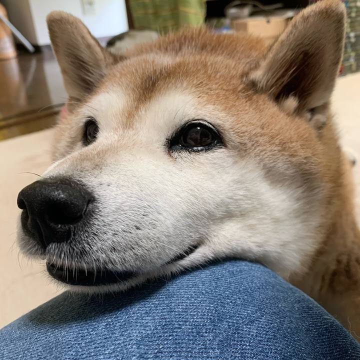 Dd05a406 eb19 4da8 80aa 989e9cba28ca 1601163824807