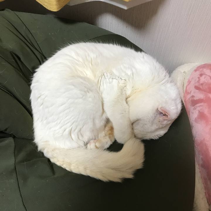 Dd05b6b5 dbb3 4d1e b2c0 ad05e771c0f3 1519746232712