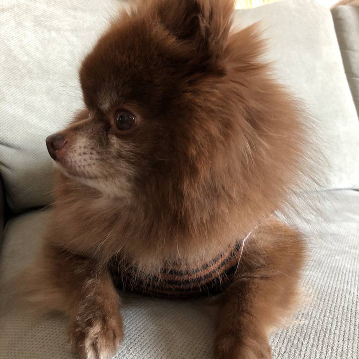 Dd05ce9a be49 492f af38 b48a0ad32a93 1551052432669