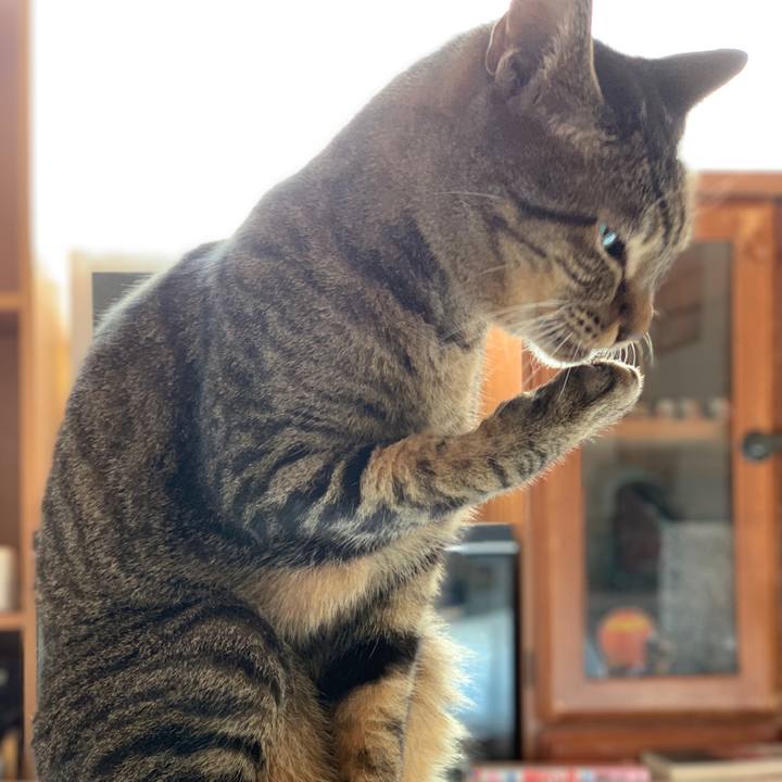 Dd05d98f 0c53 4264 87b0 4eaf74a822e2 1540172998647