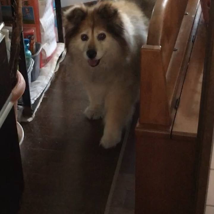 Dd06437b 82f1 4999 998f e4769775d12c 1630876322357