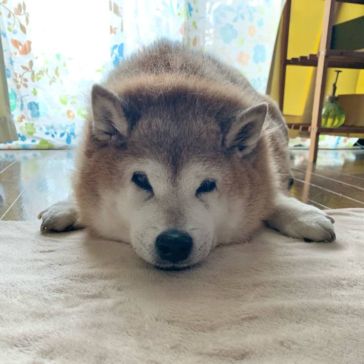 Dd064b49 9336 4dbb 8398 4212141f5f39 1620192865313