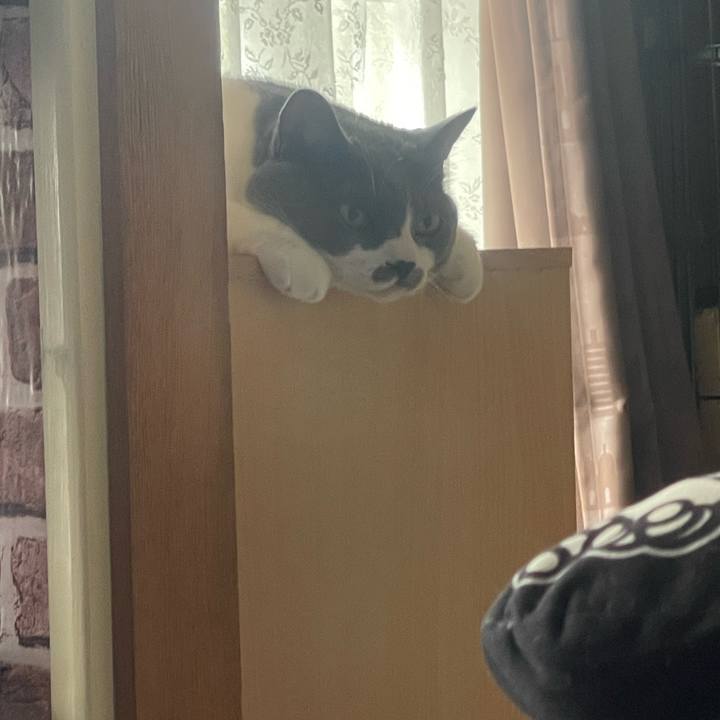 Dd06878b a611 4aee 8d10 6e7279c8e80e 1726006171393