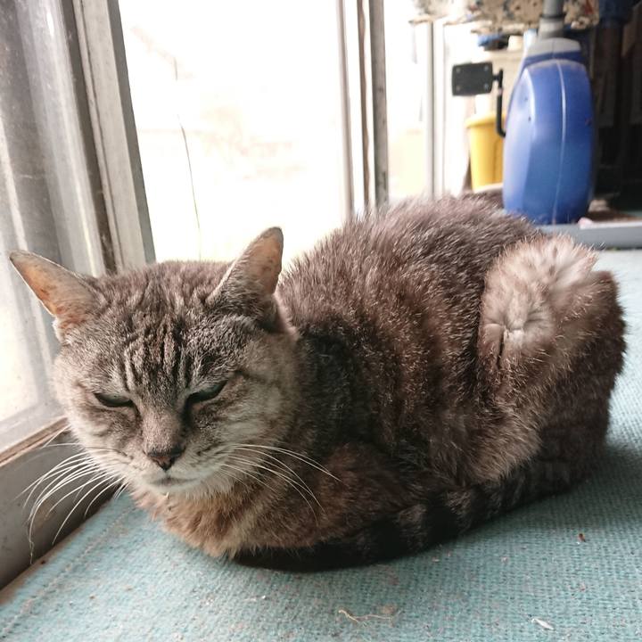 Dd06a229 186e 4550 a7ae bed0b4f25793 1569734596142