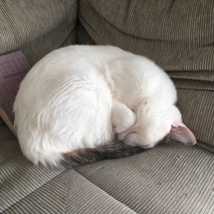 Dd06bca0 ff5e 4d11 90ce 3099d14caf47 1557280871639