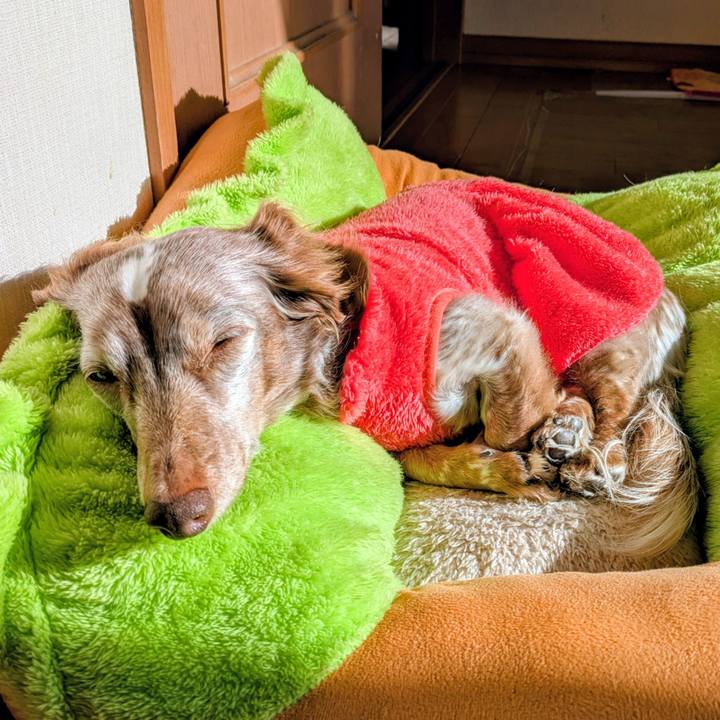 Dd06c917 3da7 44ff 9646 957d778319c9 1770685585179