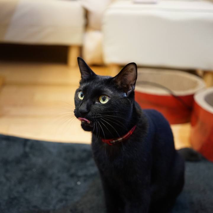 Dd06df98 2b93 4770 a0d8 3595b4fb9a95 1511791364199