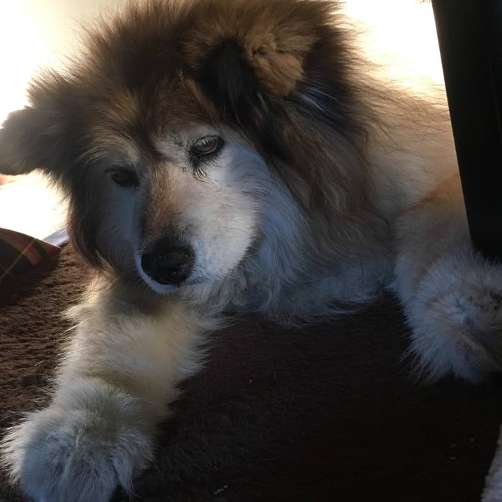 Dd06e11c 3ebc 4805 b748 c7e905e95575 1550794778725