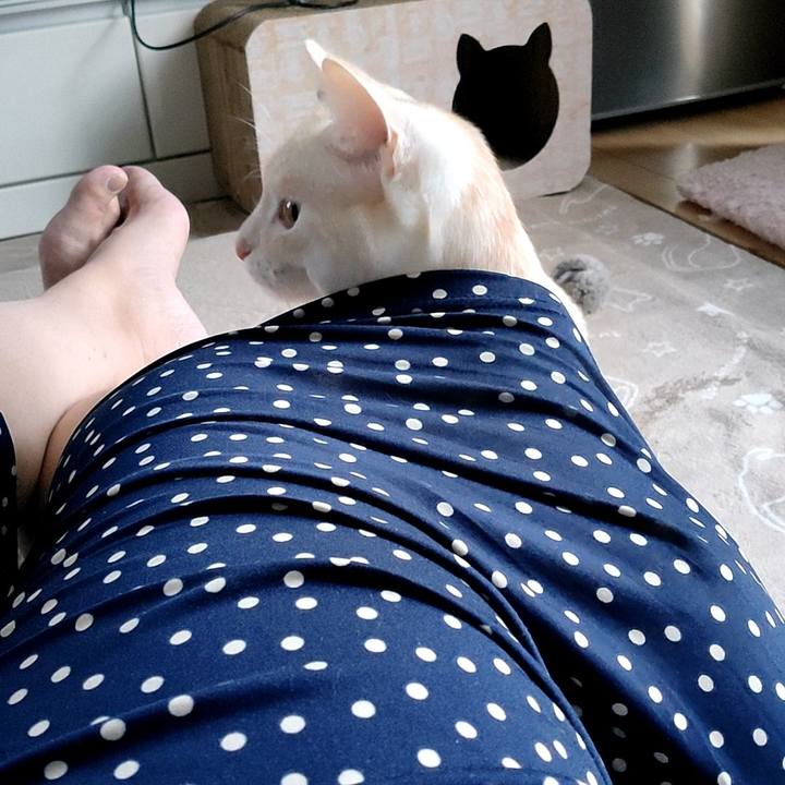 Dd06feca 7951 467f 9865 5b1abecc734b 1667866678063