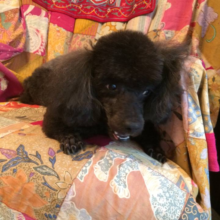 Dd074fe9 33e8 43c4 b182 cc00dbc0d92d 1507863737565