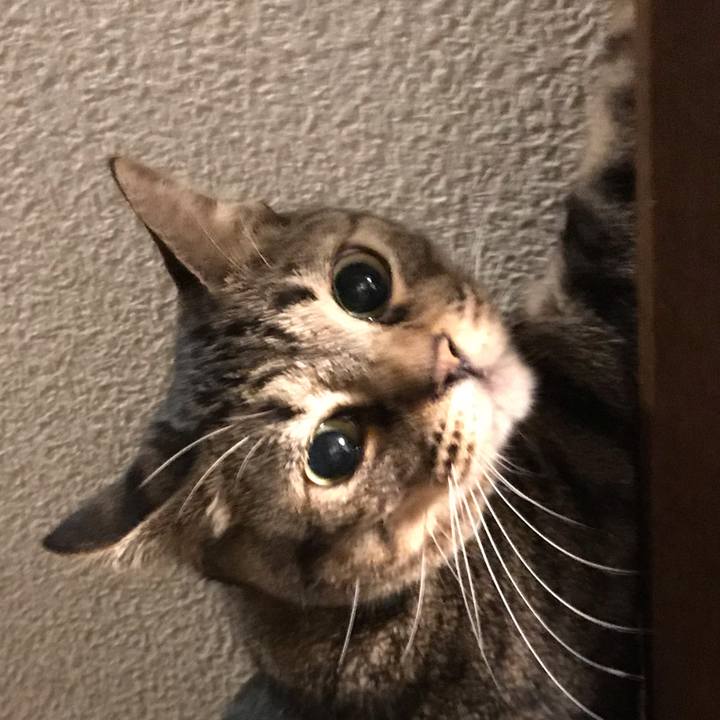 Dd0753e0 5f05 4455 bd0f 8a55caec28b0 1539263442722