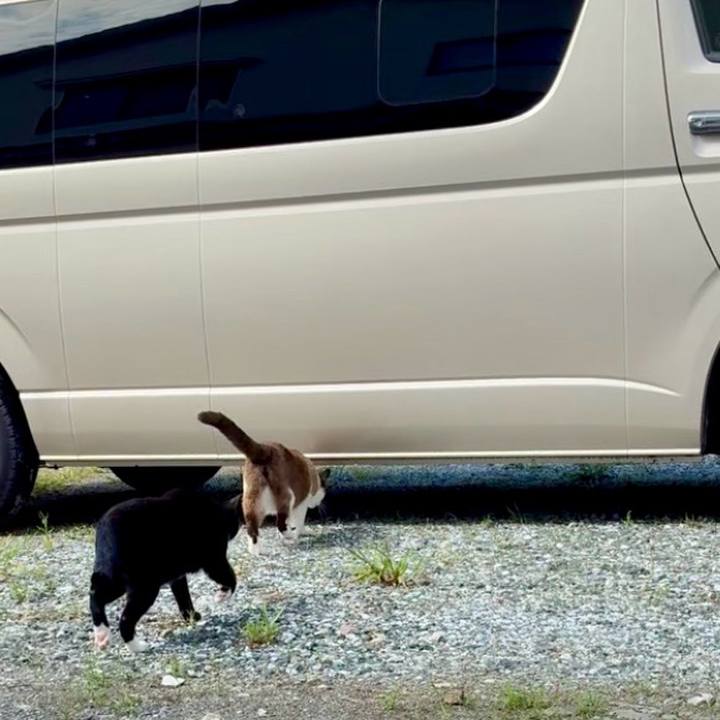 Dd07548d 4eb9 4507 92a2 07995b7ee2e7 1753013164911