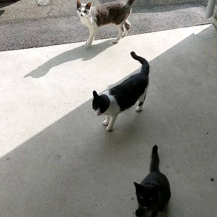 Dd078e10 56ca 4bdb 98dc d3d943f38133 1593166870124