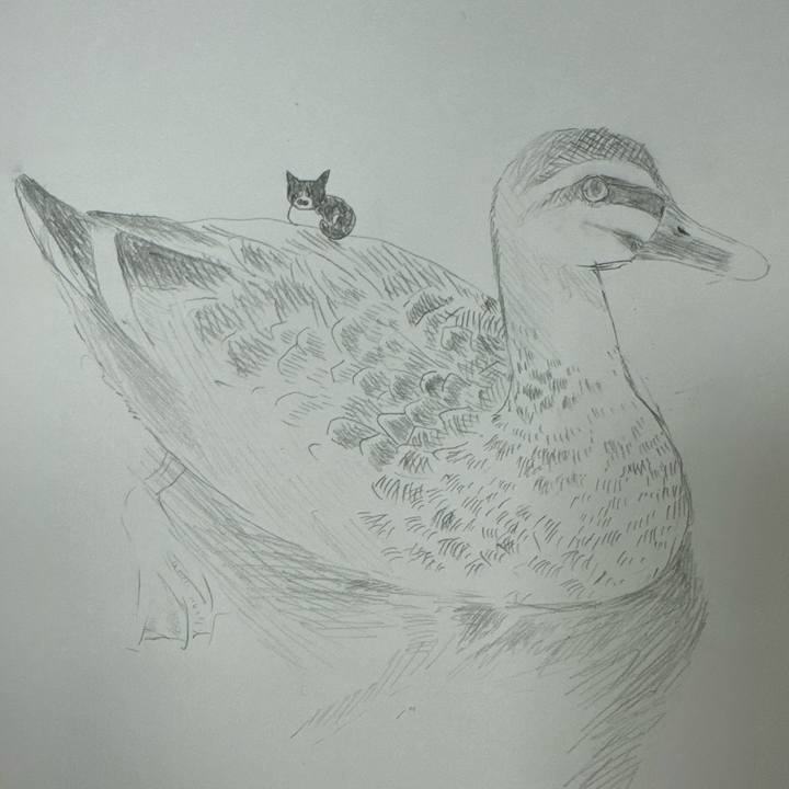 Dd07be01 3ea2 4df9 9061 8153828b7e62 1744961529579