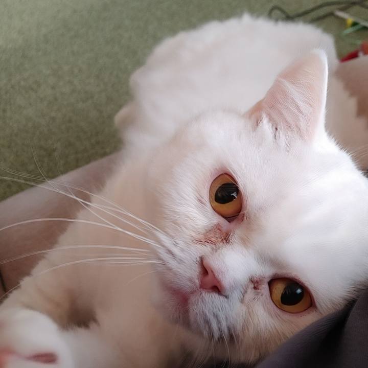 Dd07c895 40a3 4e27 b778 918ed26d9a56 1644646625468