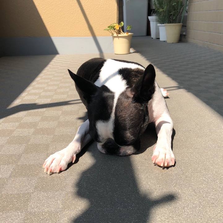 Dd07e819 07fc 42a5 8b97 969a9608906b 1564375739459