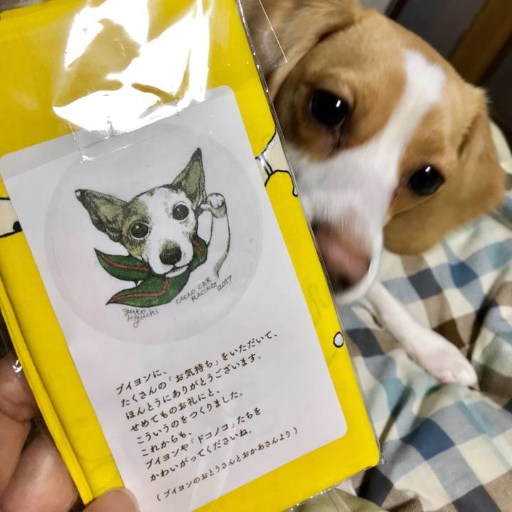 Dd083c80 6e4f 41b4 af06 929193d45423 1524143087372