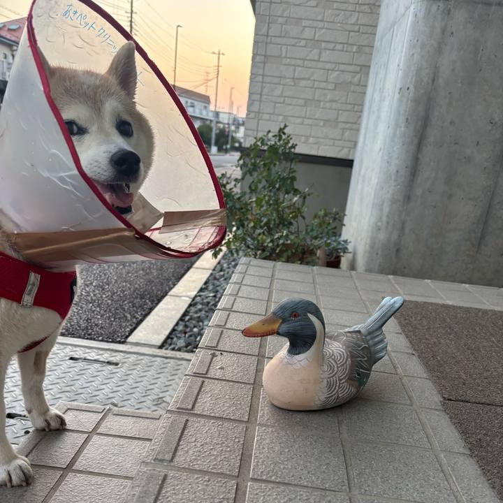 Dd084a87 8e5f 4a60 bb48 16307a2d8ef7 1758143480651