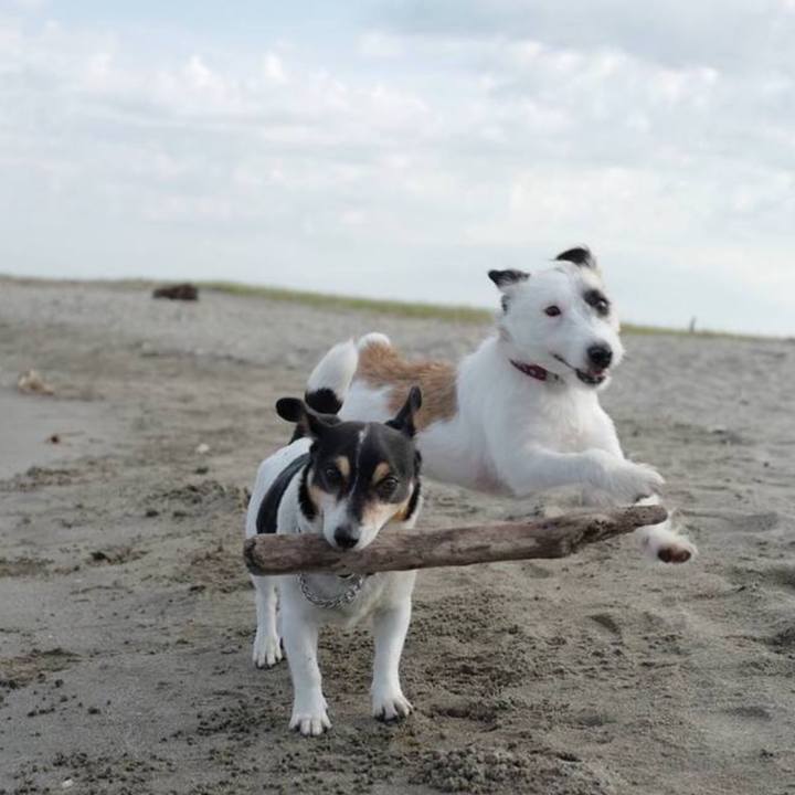 Dd086389 2114 4889 9403 6db52f6da97f 1757596086058