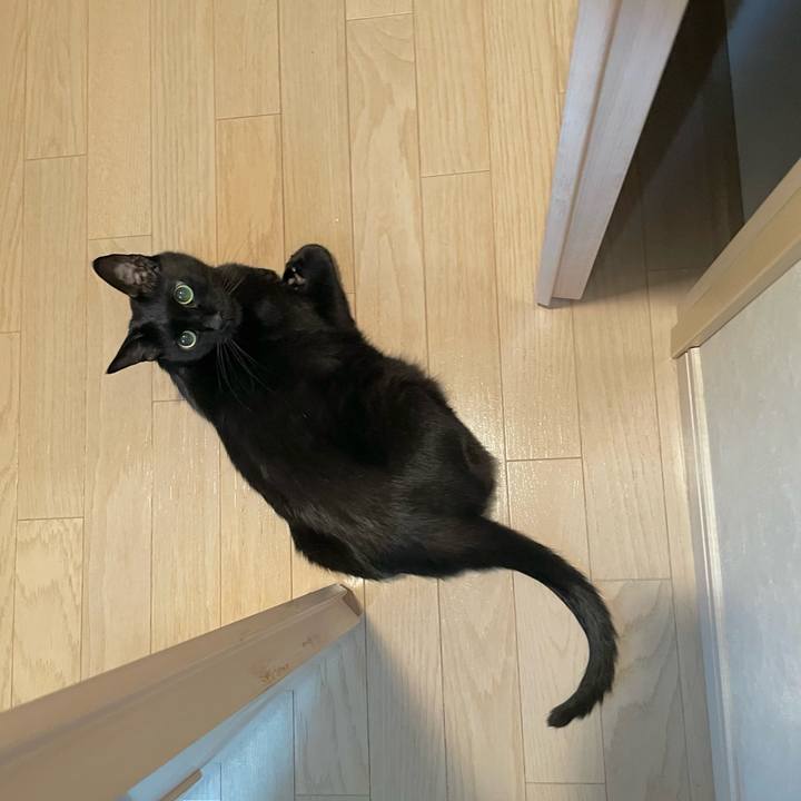 Dd08903e 6d2f 4704 94cb d4ce30d20413 1658840043387