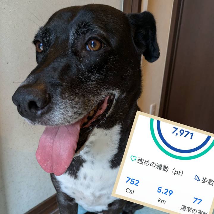 Dd08a6b6 4023 404c b1b3 5844cfcdf7f4 1725408241429