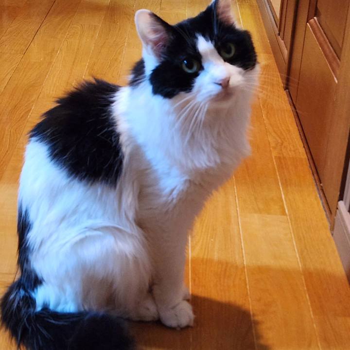 Dd08aecf 77ee 4ecf 9ab5 5c5e78882196 1719235805729