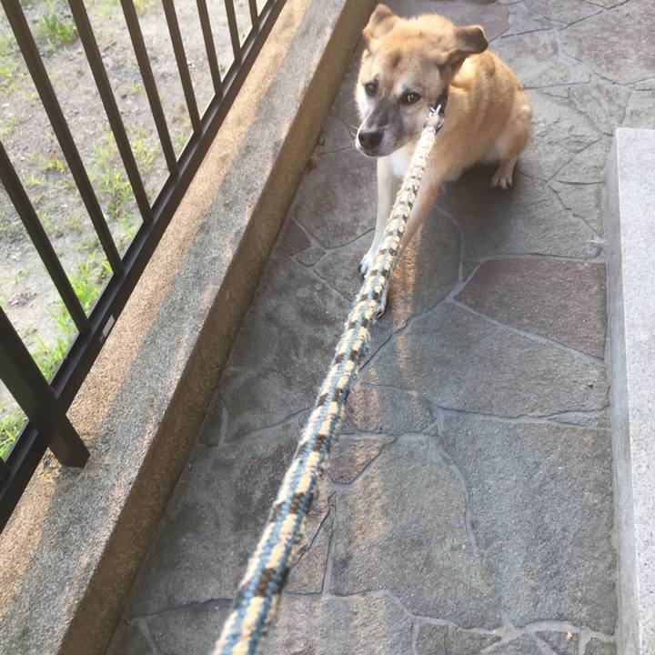 Dd0911af 1027 4df4 b52b e4c525253030 1531867061547