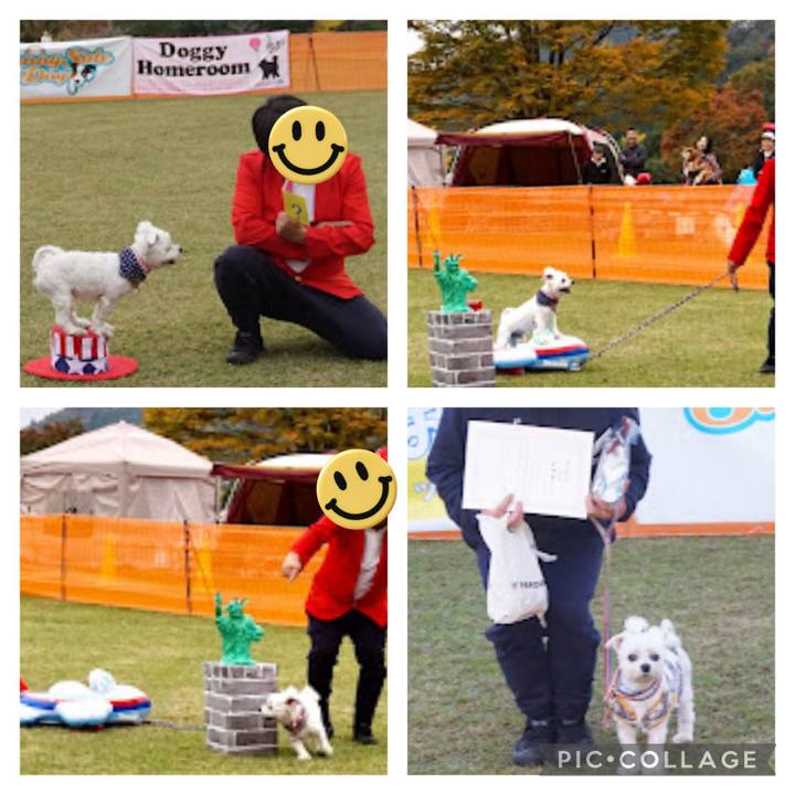 Dd09231b df80 4d66 94cb 3c9a28673fa8 1731851878958