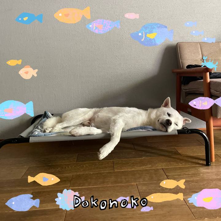 Dd092d27 1e9c 41fc 9b82 032821c32936 1755142387919