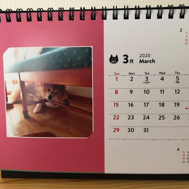 Dd0934c2 960b 4e69 b209 1338f98d2bb3 1583214301528