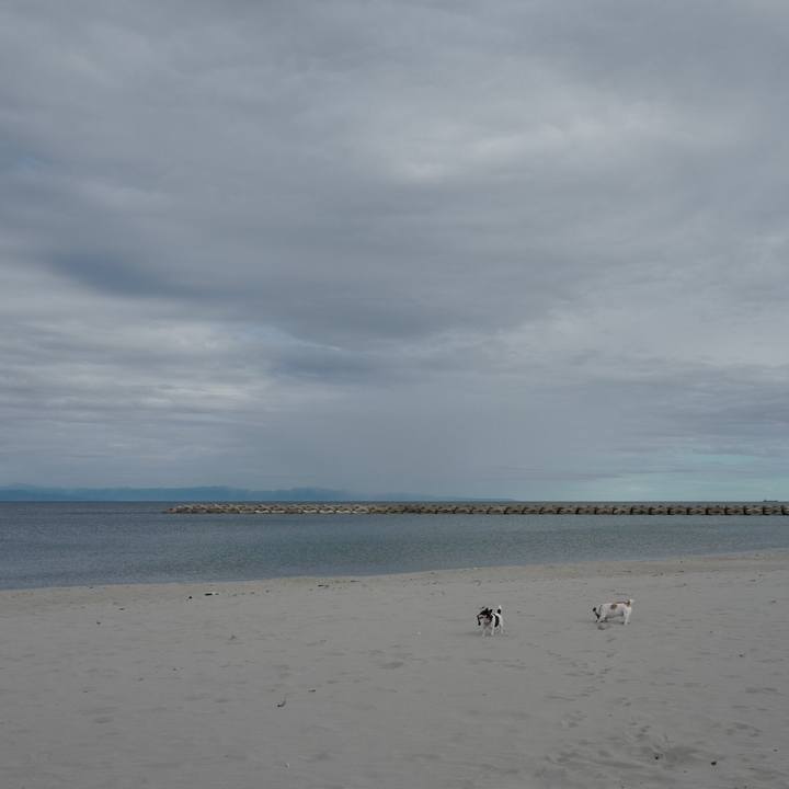 Dd09746d 477b 4f6b baaf 669c2672c62d 1562556797441