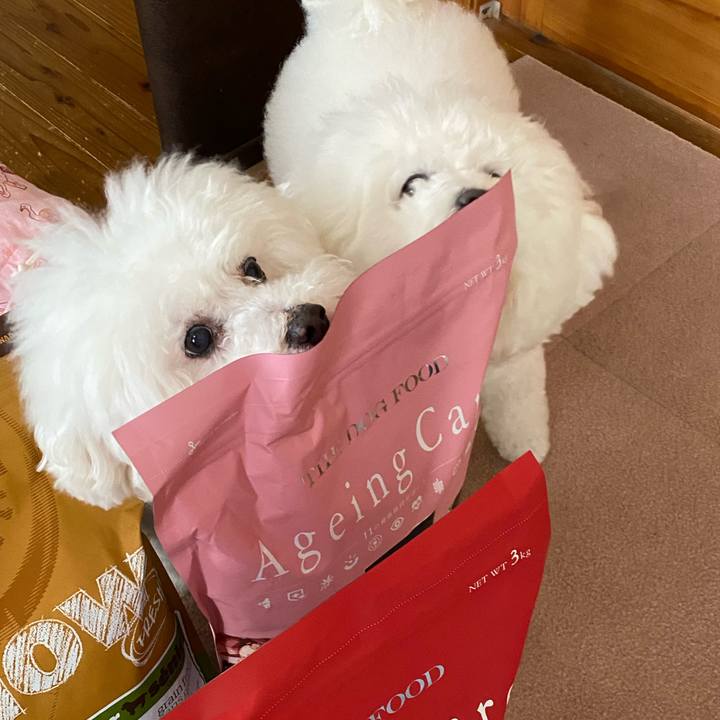 Dd097c60 4f23 47d0 b499 af3048f3ceef 1617433113830