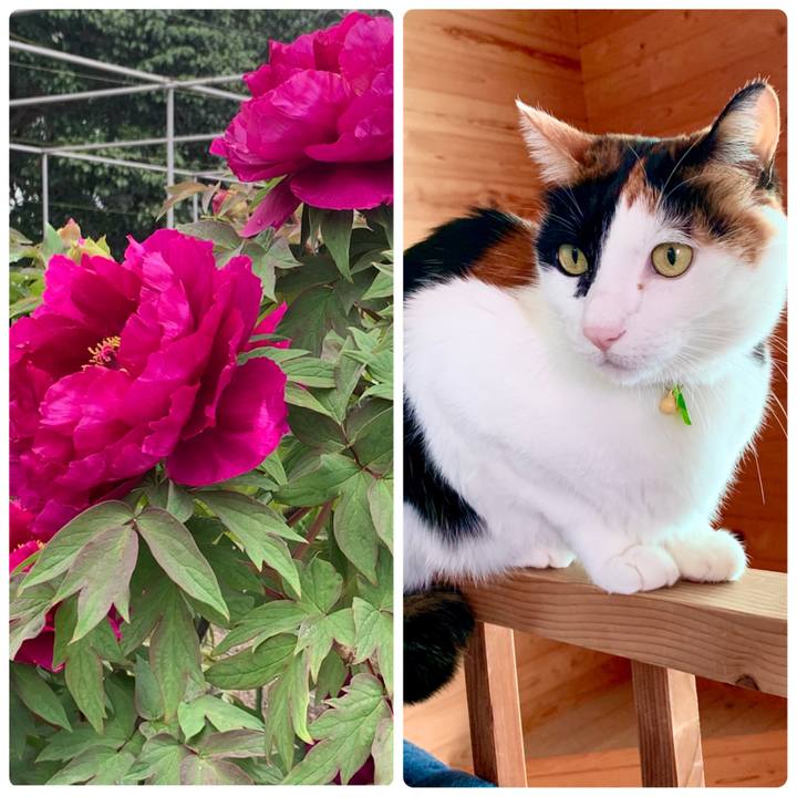 Dd09de71 5673 450c 9c39 af7e78a3d5a3 1649762374303