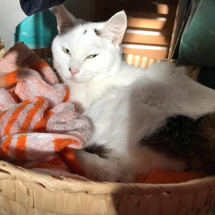 Dd09fd4e 63d2 4f87 8d76 ca100c16757f 1656706382191